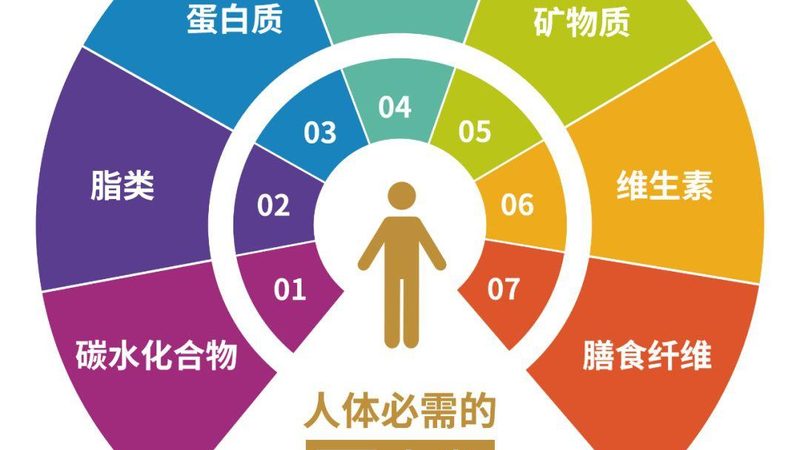 新手如何挑选乳清蛋白粉：揭秘关键指标与误区**